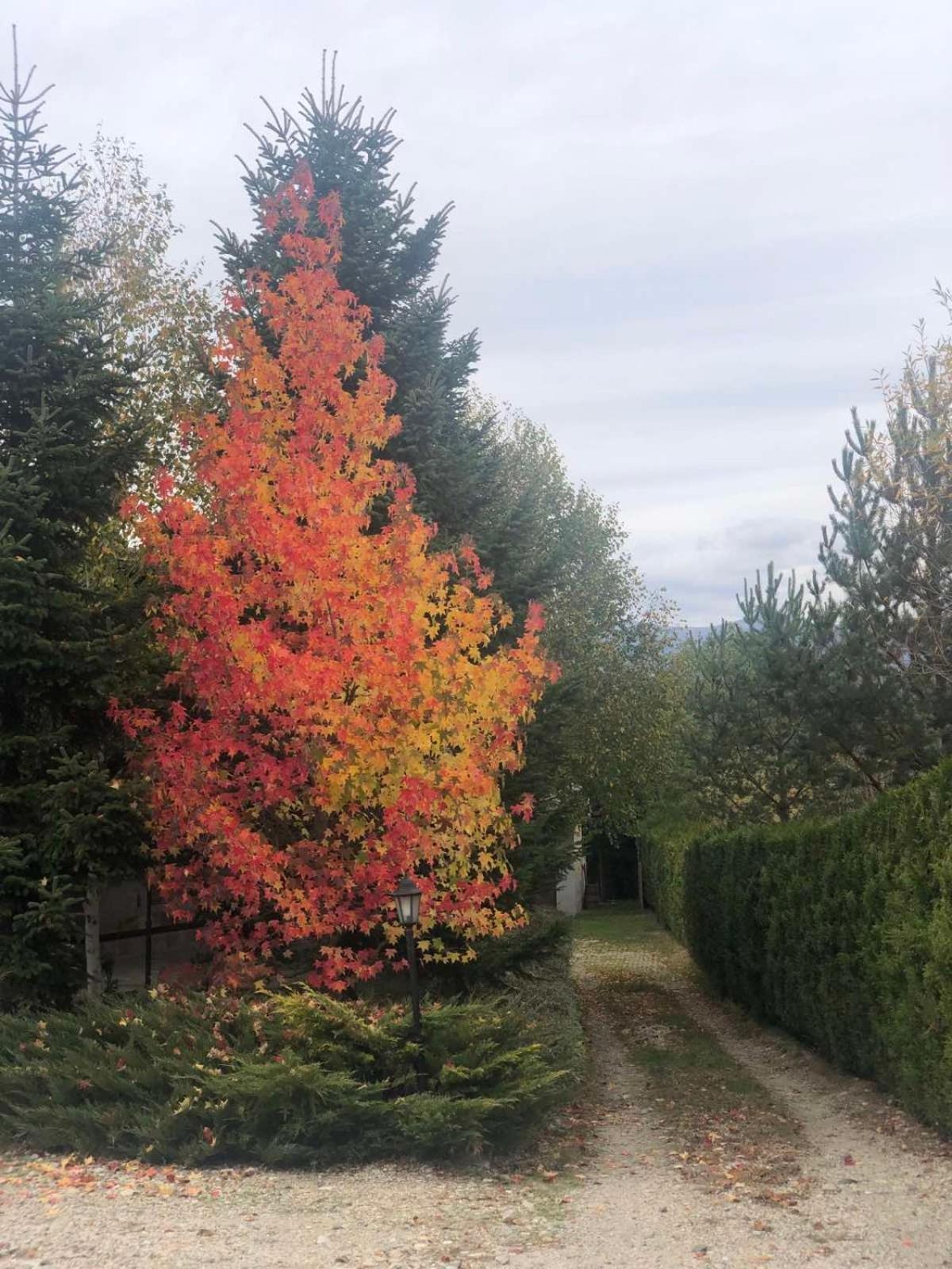 Villa Kameno Banya  Esterno foto